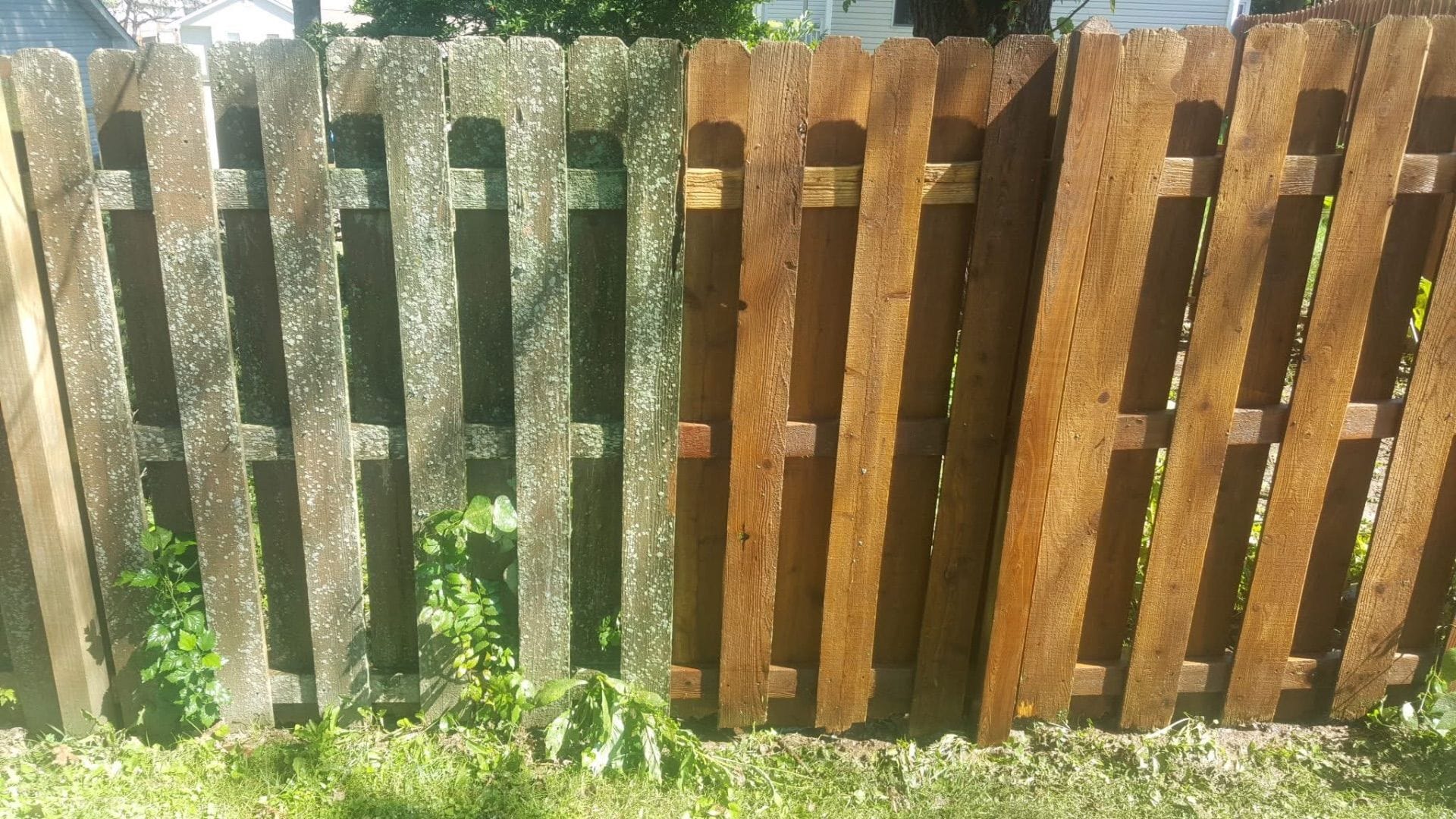 Fence before and after pressure washing